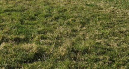 Malemort-sur-Corrèze Maison neuve - 2318132-11288annonce120251025PdJ6Z.jpeg Maisons France Confort