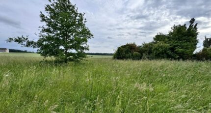 Mouettes Terrain à bâtir - 2317848-9696annonce120251025hNrum.jpeg Maisons France Confort