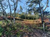 Maison à construire à Labastide-de-Virac (07150) 2319147-5100annonce120251027ImTh0.jpeg Maisons France Confort