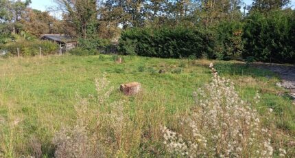 Le Porge Terrain à bâtir - 2319322-1072annonce120251027m5TOn.jpeg Maisons France Confort