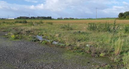 Sains-en-Gohelle Maison neuve - 2319000-5754annonce3202510271LVcX.jpeg Maisons France Confort