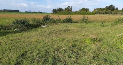 Sains-en-Gohelle Maison neuve - 2319023-5754annonce220251027kA5bK.jpeg Maisons France Confort