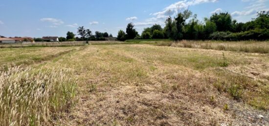 Terrain à bâtir à Replonges, Auvergne-Rhône-Alpes
