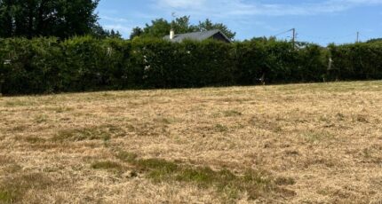 Ancinnes Terrain à bâtir - 2319624-3704annonce120251028mleRU.jpeg Maisons France Confort