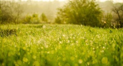 Prunay-sur-Essonne Terrain à bâtir - 2318456-7255annonce120251026rhPWV.jpeg Maisons France Confort