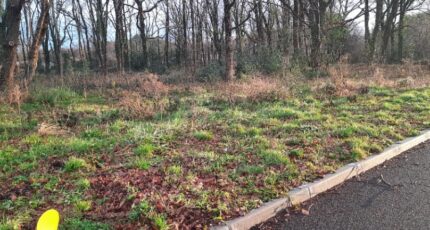 Salles Terrain à bâtir - 2319875-11151annonce120250506XxDHh.jpeg Maisons France Confort