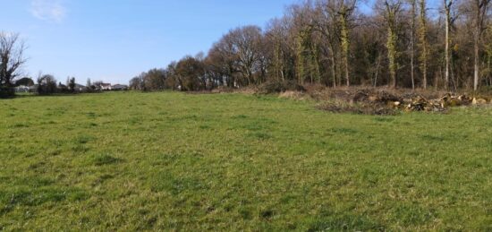 Terrain à bâtir à , Charente-Maritime