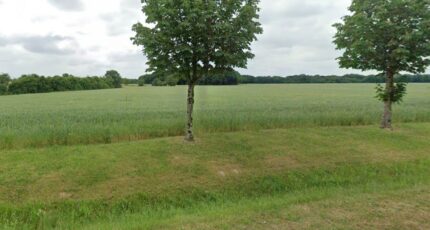 Pisany Terrain à bâtir - 2320339-7092annonce1202510295am0J.jpeg Maisons France Confort