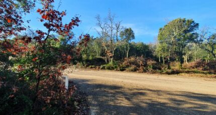 Labastide-de-Virac Maison neuve - 2319757-5100annonce120251028wUJRs.jpeg Maisons France Confort