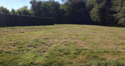 Cavignac Terrain à bâtir - 2319207-11265annonce320251027IzDkW.jpeg Maisons France Confort