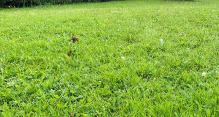 Miserey Maison neuve - 2320422-10332annonce120251029lXHRC.jpeg Maisons France Confort