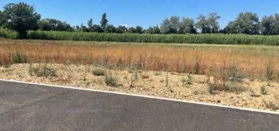 Terrain à bâtir à Saint-Martin-de-Crau, Provence-Alpes-Côte d'Azur