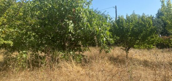 Terrain à bâtir à Solliès-Pont, Provence-Alpes-Côte d'Azur