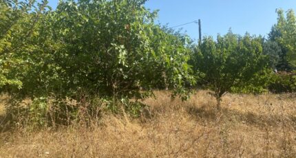 Solliès-Pont Maison neuve - 2225722-9599annonce120250716wPbD2.jpeg Maisons France Confort