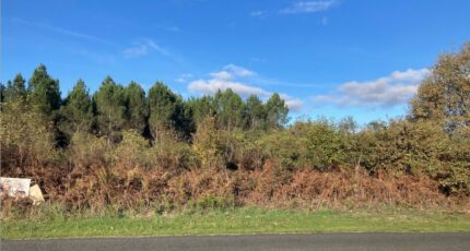 Balizac Terrain à bâtir - 2320626-11071annonce120251029uIdaS.jpeg Maisons France Confort