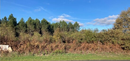 Terrain à bâtir à Balizac, Nouvelle-Aquitaine