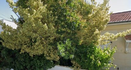 Bordeaux Terrain à bâtir - 2320534-11382annonce120251029PvFPi.jpeg Maisons France Confort