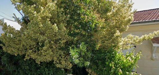 Terrain à bâtir à Bordeaux, Nouvelle-Aquitaine