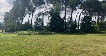 Casteljaloux Terrain à bâtir - 2320614-11292annonce120251029cqGy0.jpeg Maisons France Confort