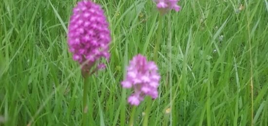 Terrain à bâtir à Pîtres, Normandie
