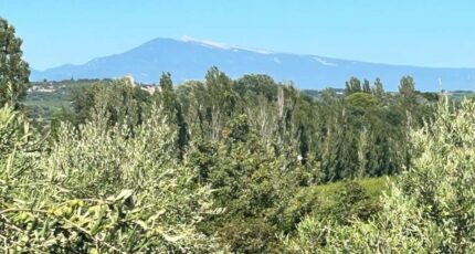 Roquemaure Terrain à bâtir - 2321353-3418annonce220231028zwarI.jpeg Maisons France Confort