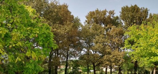 Terrain à bâtir à Eyrans, Nouvelle-Aquitaine