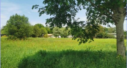 Bazas Maison neuve - 2321834-9573annonce120251030Hau8H.jpeg Maisons France Confort