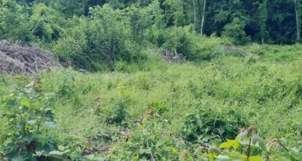 Vaux-le-Pénil Maison neuve - 2321325-11657annonce120251029ZpSSI.jpeg Maisons France Confort