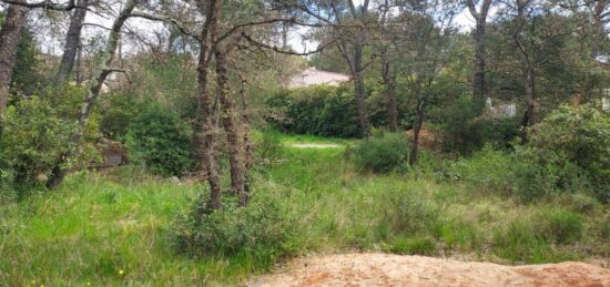 Terrain à bâtir à Rocbaron, Provence-Alpes-Côte d'Azur