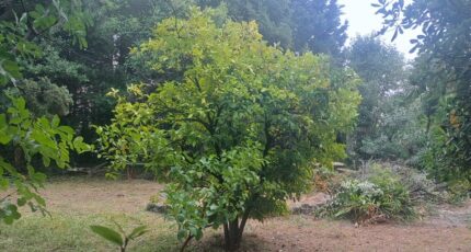 Villeneuve-Loubet Terrain à bâtir - 2322441-10316annonce520251030cTXqh.jpeg Maisons France Confort