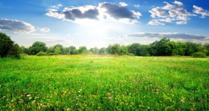 Biganos Maison neuve - 2322537-11262annonce120251030LIxs3.jpeg Maisons France Confort