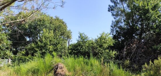 Terrain à bâtir à Vendays-Montalivet, Nouvelle-Aquitaine