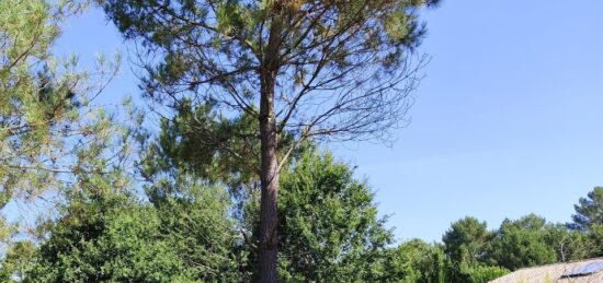Terrain à bâtir à , Gironde