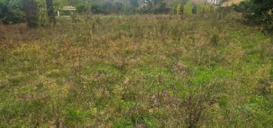 Terrain à bâtir à Arbanats, Nouvelle-Aquitaine