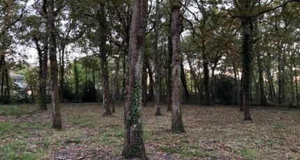 Andernos-les-Bains Terrain à bâtir - 2323307-11276annonce120251030CetVD.jpeg Maisons France Confort