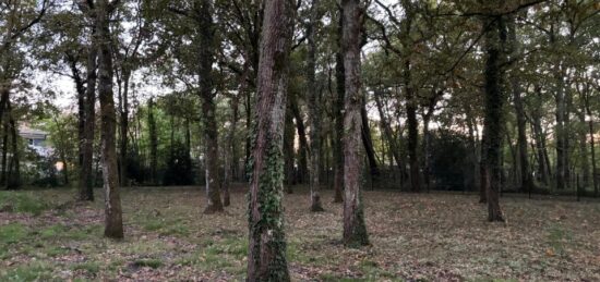 Terrain à bâtir à Andernos-les-Bains, Nouvelle-Aquitaine