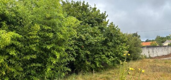Terrain à bâtir à Andernos-les-Bains, Nouvelle-Aquitaine