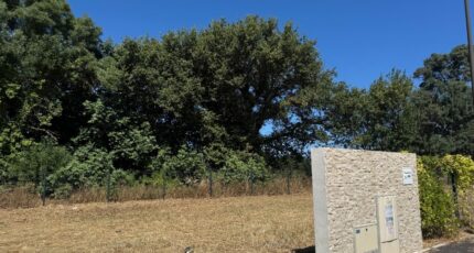 Balaruc-le-Vieux Maison neuve - 2306923-11455annonce120251015TDD6R.jpeg Maisons France Confort