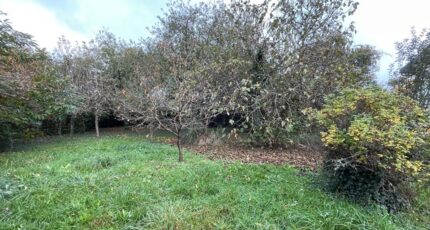 Panazol Maison neuve - 2324048-11648annonce120251031Nre0c.jpeg Maisons France Confort