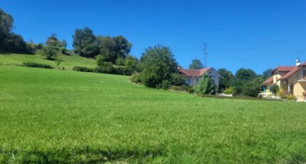 Marcellaz-Albanais Terrain à bâtir - 2260128-10163annonce220250904Ay92V.jpeg Maisons France Confort