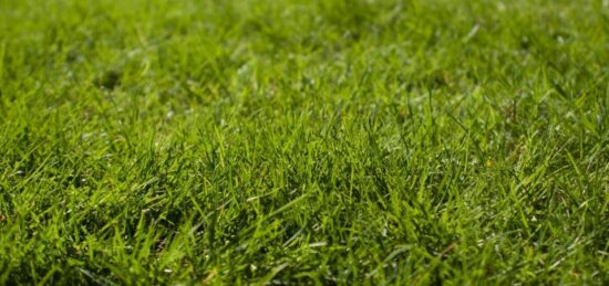 Terrain à bâtir à Ferrières-Saint-Hilaire, Normandie