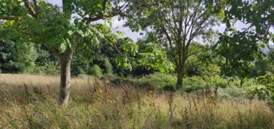 Terrain à bâtir à Campigny, Normandie