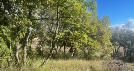 Baudinard-sur-Verdon Maison neuve - 2324616-10122annonce320251031y9TdF.jpeg Maisons France Confort