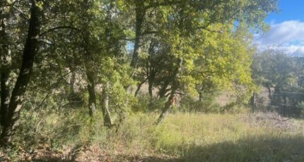 Baudinard-sur-Verdon Terrain à bâtir - 2324599-10122annonce120251031AQDx5.jpeg Maisons France Confort