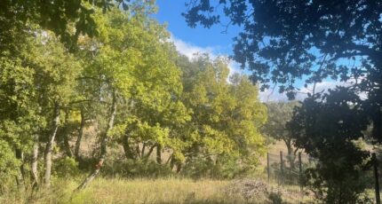 Baudinard-sur-Verdon Maison neuve - 2324621-10122annonce2202510315Tity.jpeg Maisons France Confort