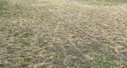 Pornic Maison neuve - 2324473-11110annonce220251031v9T0K.jpeg Maisons France Confort