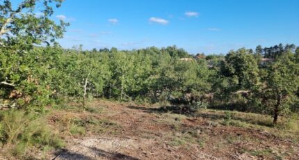 Saint-Pierre-Lafeuille Terrain à bâtir - 2287155-11257annonce120250929Vv8A3.jpeg Maisons France Confort