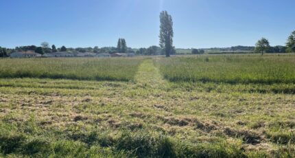 Saint-Savin Terrain à bâtir - 2261151-11252annonce120250905cTgGV.jpeg Maisons France Confort