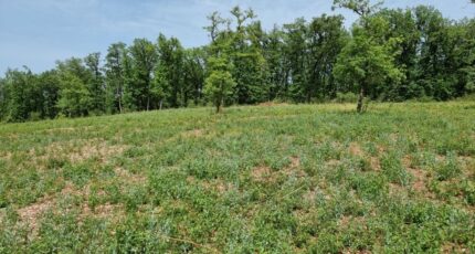 Le Montat Maison neuve - 2286753-11257annonce120250929F5vXN.jpeg Maisons France Confort