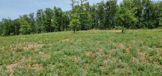 Maison neuve à Le Montat, Occitanie